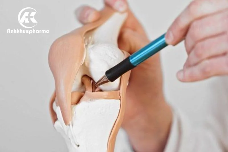 Rách sụn chêm gối có thể tự lành nếu vết rách kích thước nhỏ và nằm ở mặt ngoài có nguồn máu dồi dào