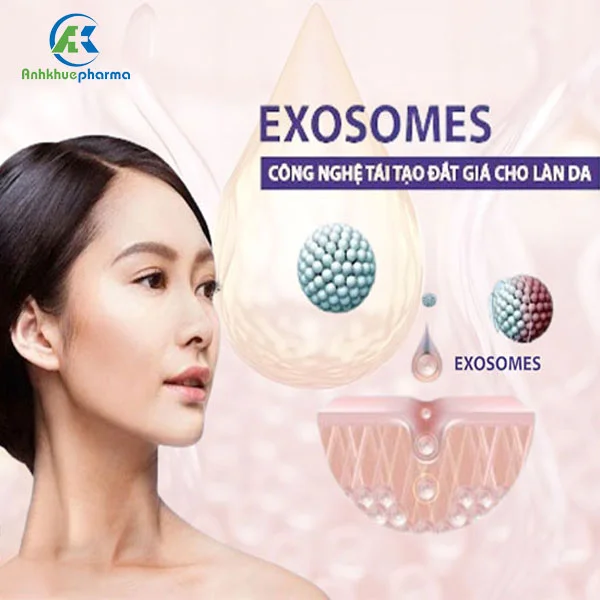 Exosome - Viên kim cương thô trong ứng dụng Y học, da liễu 