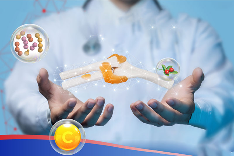 Vai trò của Glucosamine và các hoạt chất hỗ trợ trong điều trị thoái hóa khớp Collagen type II chiếm đến 90% cấu trúc sụn khớp, kích hoạt cơ chế tự tái tạo của cơ thể, giúp nuôi dưỡng sụn khớp từ gốc