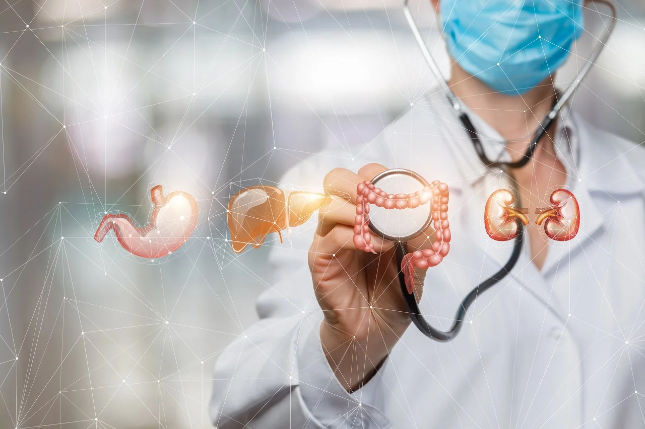 Hệ tiêu hóa tốt đảm bảo cơ thể tiếp nhận và hấp thu tối đa dưỡng chất, đồng thời bảo vệ cơ thể khỏi các tác nhân gây hại