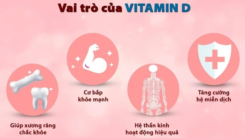 Vitamin D đóng vai trò quan trọng thúc đẩy phản ứng miễn dịch bằng cách tăng cường chức năng của tế bào miễn dịch