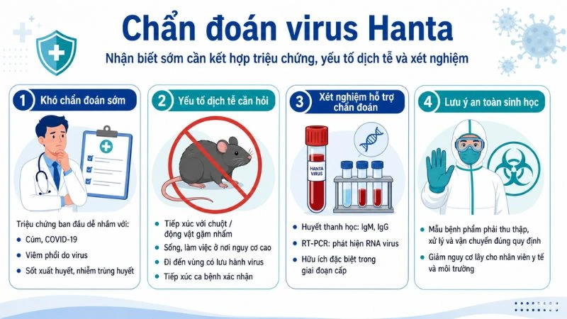 Triệu chứng nhiễm virus Hanta dễ nhầm với các bệnh khác: Hiểu rõ để phòng ngừa Virus Hanta và cúm có nhiều triệu chứng ban đầu khá giống nhau như sốt, đau đầu, đau nhức cơ thể và mệt mỏi nên dễ khiến người bệnh nhầm lẫn