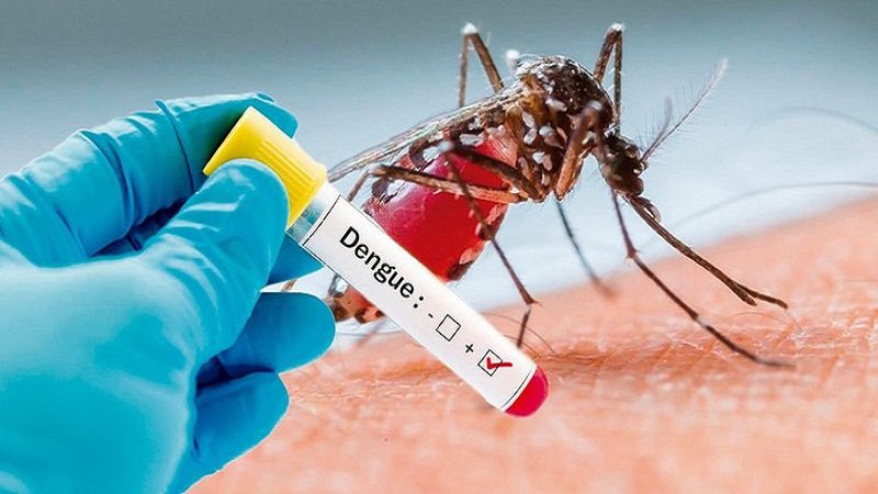 Sốt xuất huyết Dengue không còn theo mùa - Chủ động phòng ngừa ngay hôm nay Sốt xuất huyết Dengue lây truyền chủ yếu qua muỗi vằn cái nhiễm virus