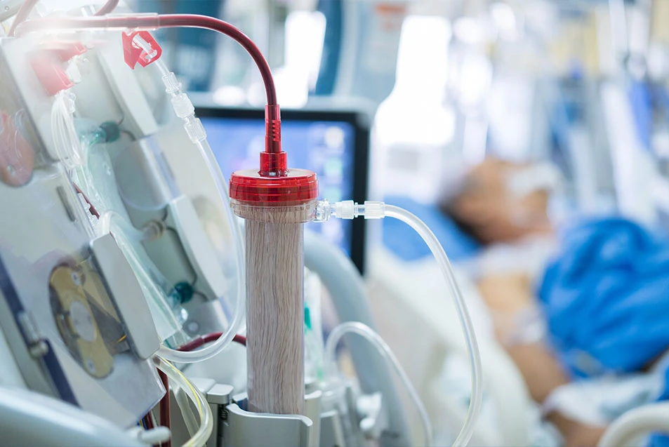 Sốt xuất huyết kèm suy thận do virus Hanta: Tuyệt đối không chủ quan Ở giai đoạn nặng, người bệnh có thể bị tụt huyết áp, sốc, xuất huyết nội tạng và suy thận cấp