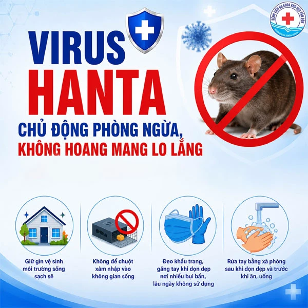 Triệu chứng nhiễm virus Hanta dễ nhầm với các bệnh khác: Hiểu rõ để phòng ngừa Triệu chứng nhiễm virus Hanta dễ nhầm với các bệnh khác: Hiểu rõ để phòng ngừa virus hanta 1
