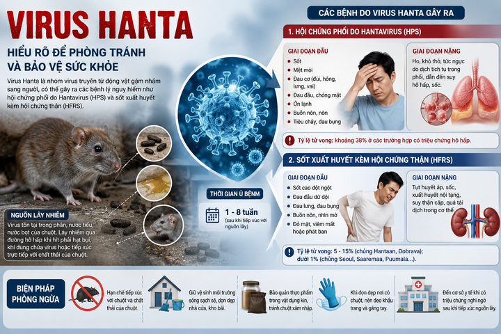 Sốt xuất huyết kèm suy thận do virus Hanta: Tuyệt đối không chủ quan Sốt xuất huyết kèm suy thận do virus Hanta từ các loài gặm nhấm như chuột, thông qua tiếp xúc với nước tiểu, phân hoặc nước bọt chứa virus