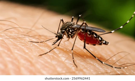 Sốt xuất huyết Dengue: Đừng để “chuyện muỗi” làm lớn Sốt xuất huyết Dengue trở nặng sẽ gây ra các biến chứng như chảy máu nặng, giảm tiểu cầu, và suy tạng